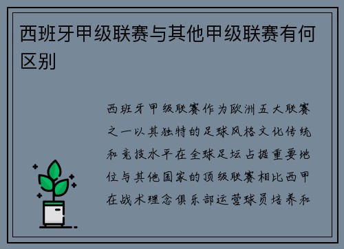 西班牙甲级联赛与其他甲级联赛有何区别